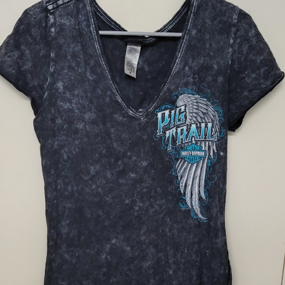 Beautiful 2017 Harley Davidson Bikes Barbeque And Blues Tshirt